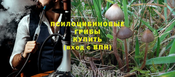 а пвп мука Абаза