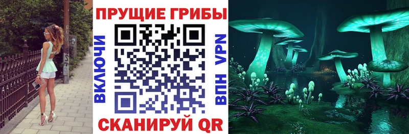 купить   OMG   Галлюциногенные грибы Magic Shrooms  Калач 
